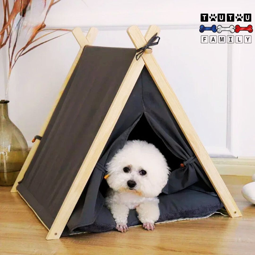 tente-pour-chien-interieure-tipi-pour-petit-chien-chiot-un-coton-de-tuléar-couché-dans-sa-tente-grise-sur-son-coussin-100%-coton-haute-densité-assorti-moelleux-et-chaud