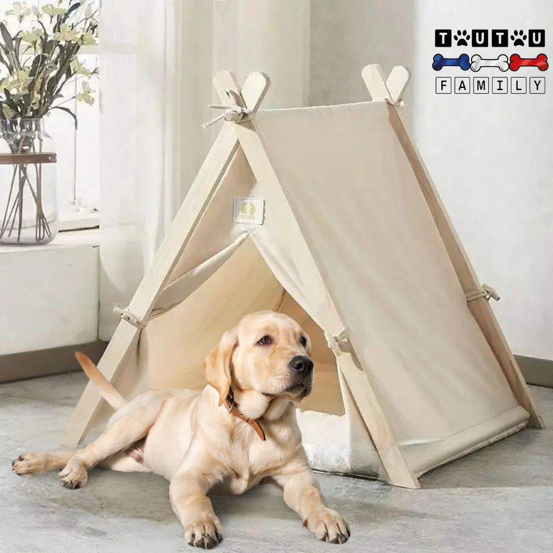 tente-pour-chien-vert-100%-coton-et-structure-en-triangle-en-bois-de-pin-un-chiot-couché-devant-sa-tente-de-couleur-beige-et-son-coussin-intérieur-beige-lavable-en-machine