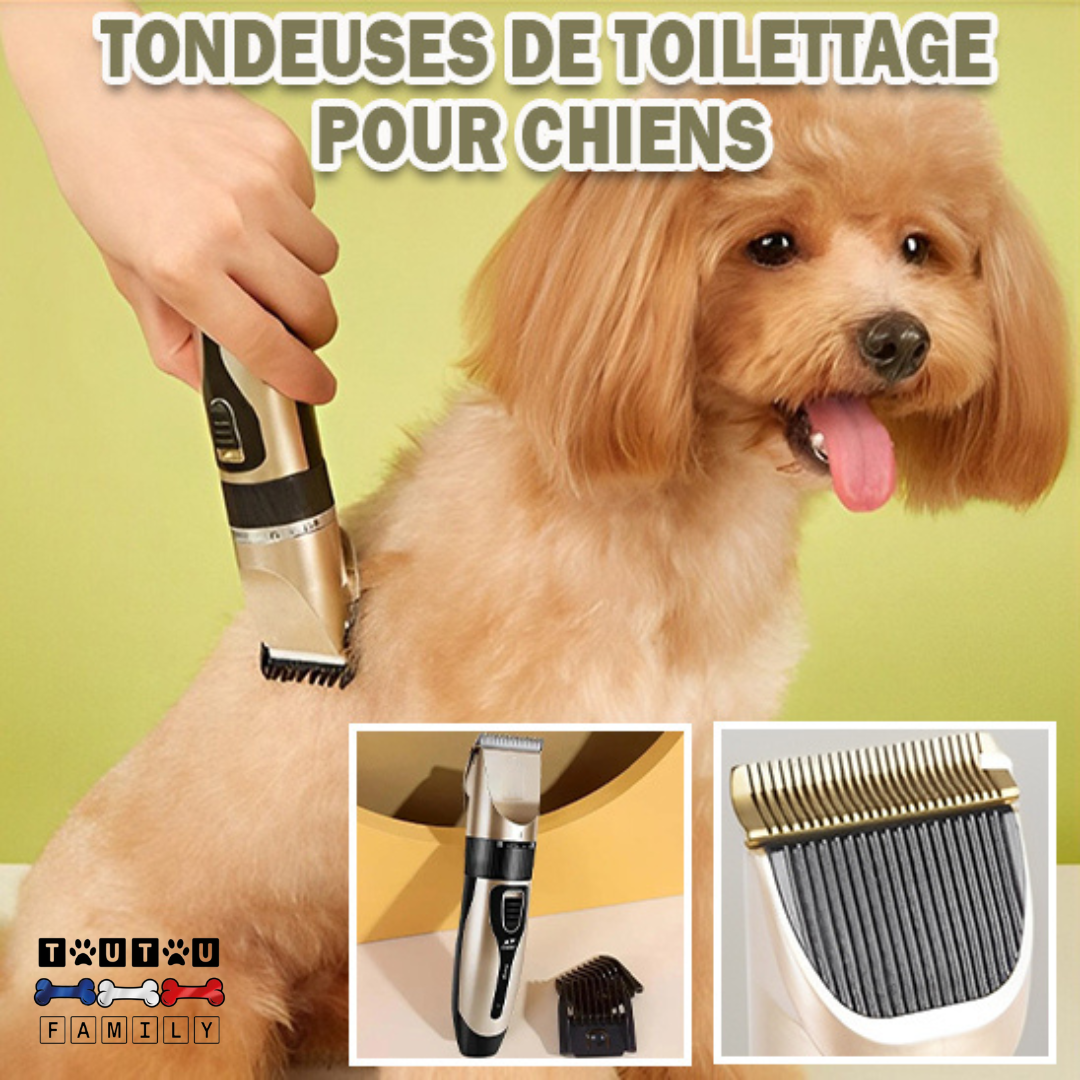 Tondeuse pour Chien - TonteToutou™