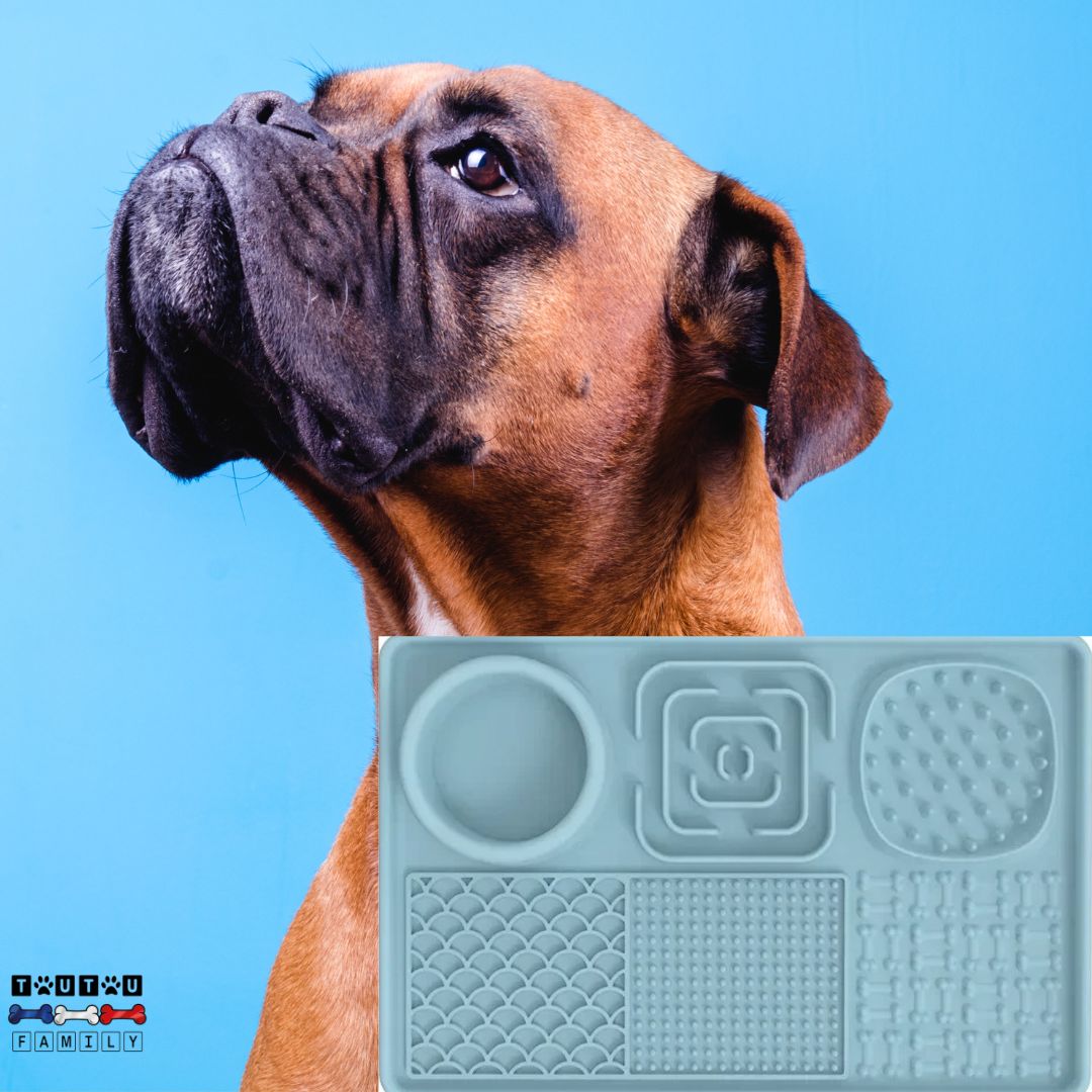 Gamelle anti glouton chien- LècheToutou™ - Toutoufamily