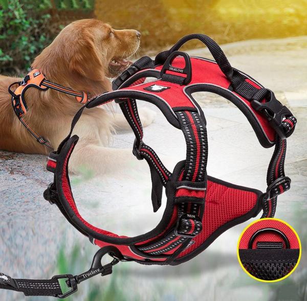 SafetyHarness™- Harnais pour animal de compagnie - Toutoufamily